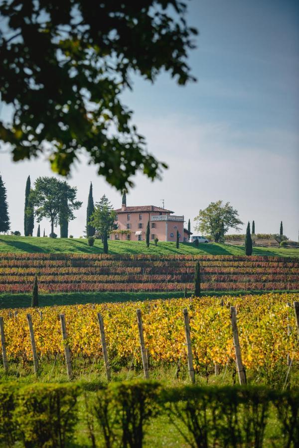 Capriva del Friuli Casale In Collinaゲストハウス エクステリア 写真