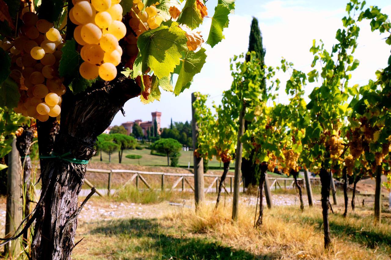 Capriva del Friuli Casale In Collinaゲストハウス エクステリア 写真