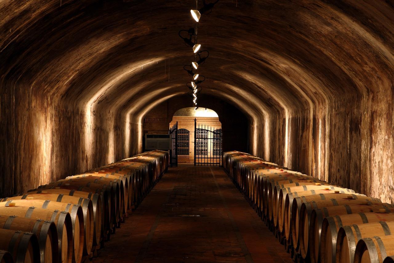 Capriva del Friuli Casale In Collinaゲストハウス エクステリア 写真